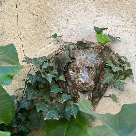 Face Au Palais * Avinhão
